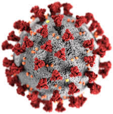 Immagine Vaccinazioni Anti-Covid 19